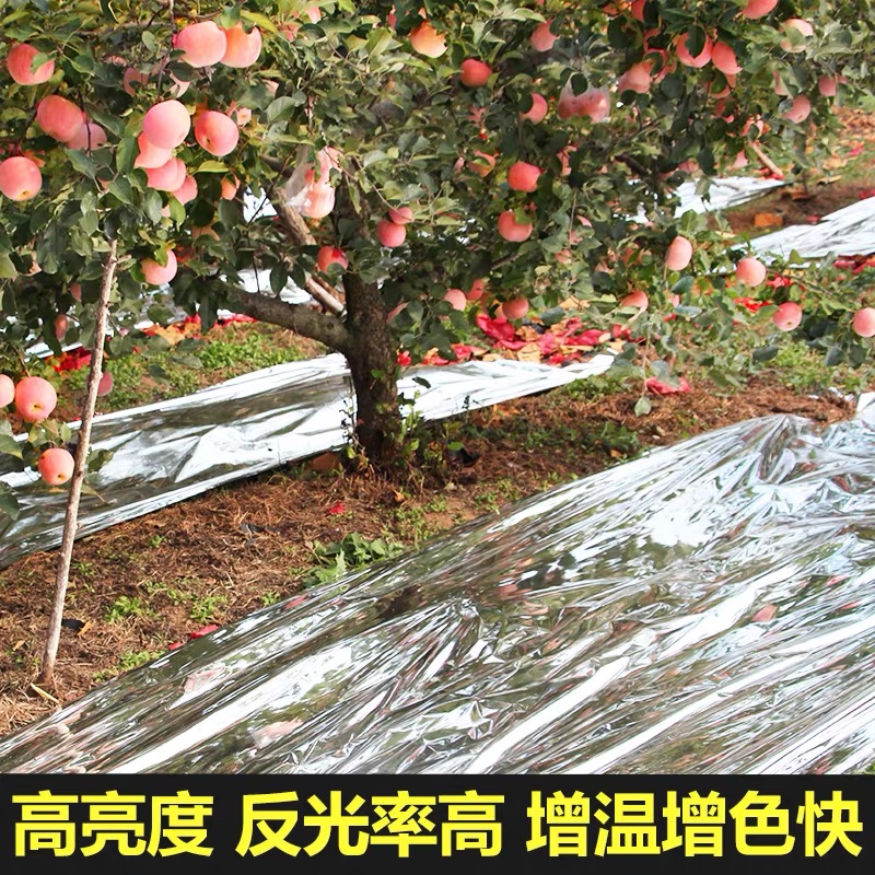 廊坊市po膜果树反光膜 - 价格